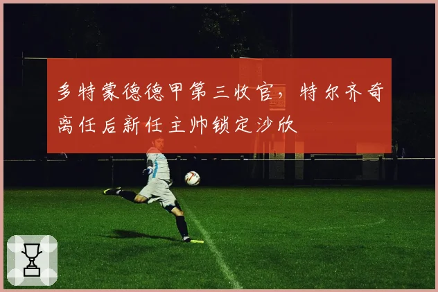 多特蒙德德甲第三收官,特尔齐奇离任后新任主帅锁定沙欣