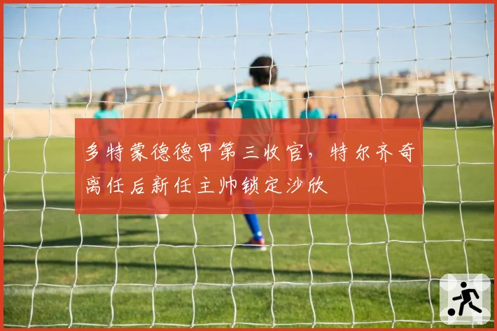 多特蒙德德甲第三收官，特尔齐奇离任后新任主帅锁定沙欣