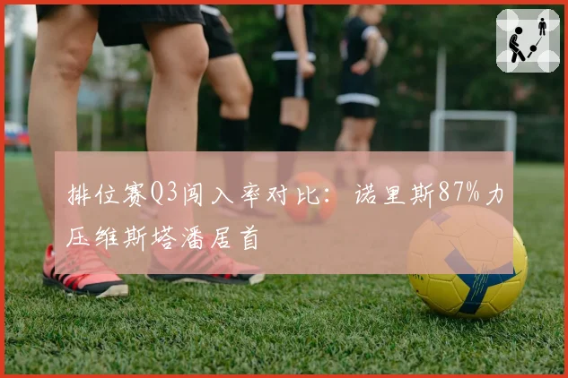 排位赛Q3闯入率对比:诺里斯87%力压维斯塔潘居首