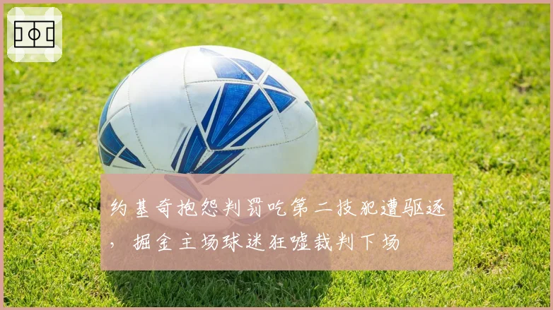 约基奇抱怨判罚吃第二技犯遭驱逐，掘金主场球迷狂嘘裁判下场