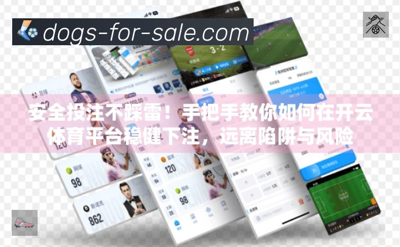 App 展示图